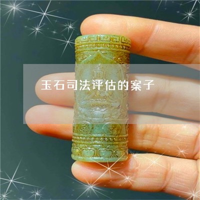 玉石司法评估的案子-玉石案件剖析(2022更新中)